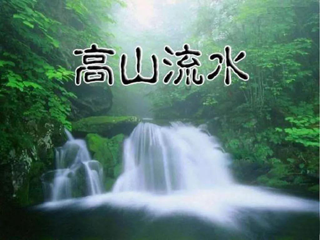 诱捕小浣熊
